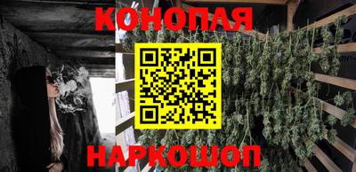 jwh Краснознаменск